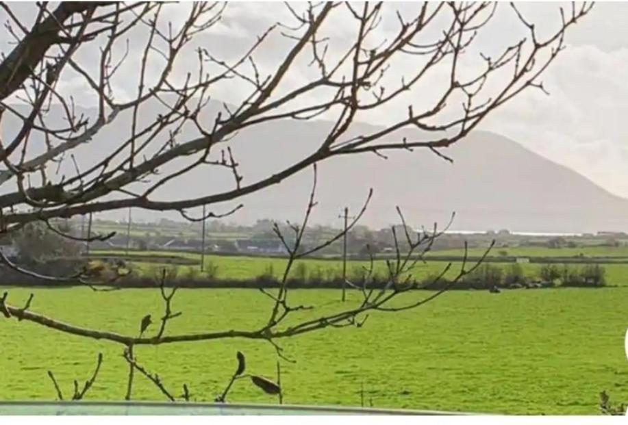 St Martins Old Schoolhouse Ballyroe Tralee Eksteriør bilde